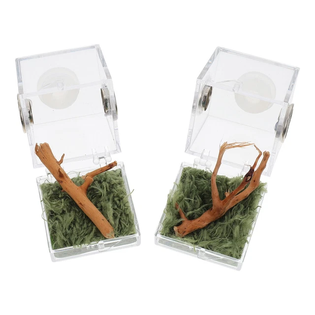 Récipient à Loupe HABA Terra Kids - Volume 3,5 L, Loupe 2,4x, Trous D'aération, Pour Observer Insectes Et Trésors Naturels - 3