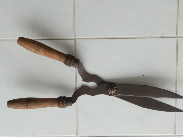 Cisailles Vétérinaires Pour Pourriture Des Pieds – 20 Cm, Manche Bois Robuste, Neuves