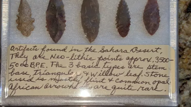 African Sahara Neo-lithic Arrowhead Lot Of 12