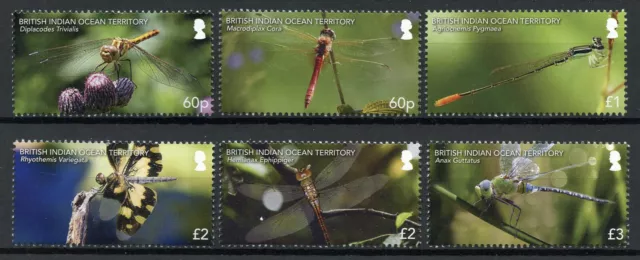 BIOT Brit Indian Ocean Terr Insects Stamps 2019 MNH Dragonflies Dragonfly 6v Set