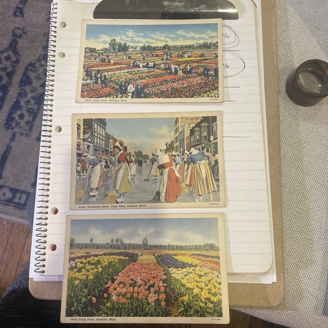 3 Michigan MI Holland Nelis Tulip Farm Postcard Vintage PC Unposted Tulip Time