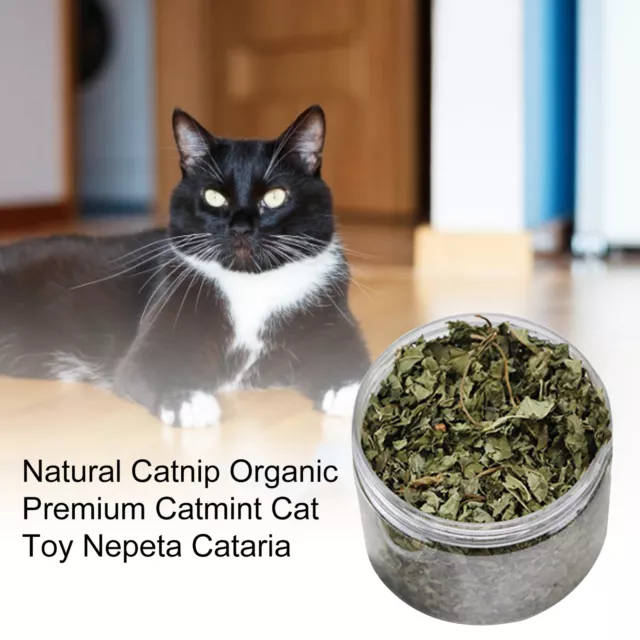 Natural Dried Catnip Leaf Organic Premium Catmint Cat Toy Nepeta Cataria