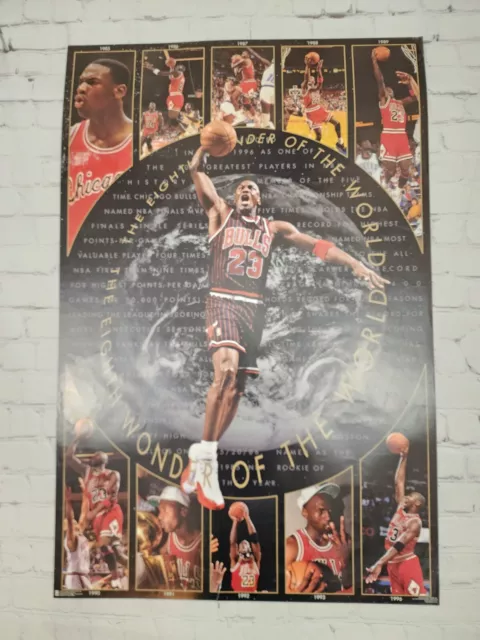 Chicago Bulls 1991 NBA World Champions Team Poster Michael Jordan 23x35in