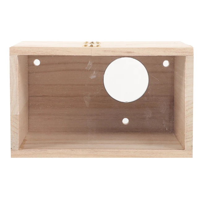 Windhager Cassetta Nido Wildkogel Per Cince – Foro 28mm, Tetto Rimovibile, Legno Di Betulla, Casetta Per Uccelli Da Appendere - 4