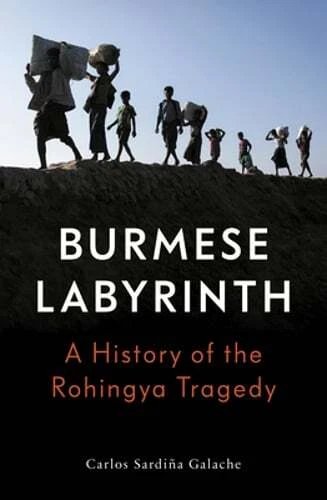 The Burmese Labyrinth by Carlos Sardina Galache: Used