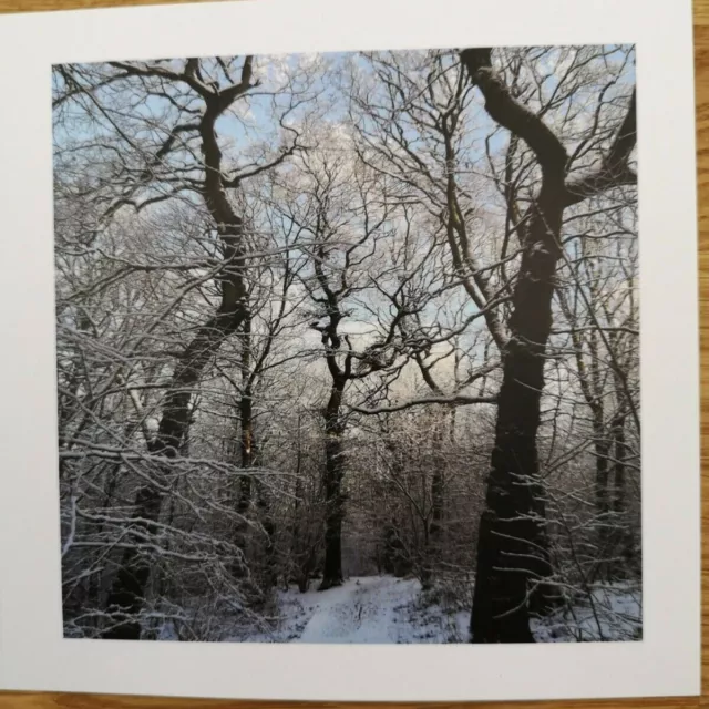 Blank 5x5 greeting card - Snowy Walk, trees and blue sky, winter scene