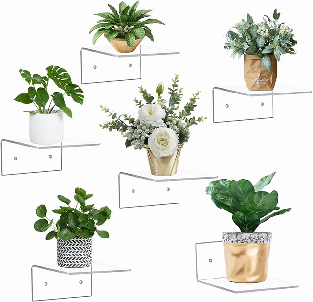 6 Pack Small Acrylic Floating Shelves for Wall, Wall Mounted Hanging Display She