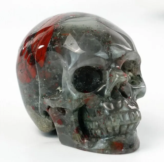Afrian Blood Stone Quartz Carved Skull Natural Crystal Realistic Statue Healing