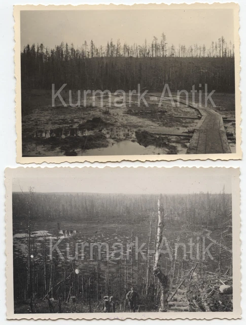 B334 FOTO WEHRMACHT Gebirgsjäger Finnland Karelien Front Sumpf combat