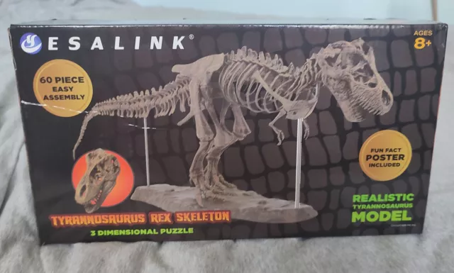 T-Rex Skeleton Model (20"+ long)