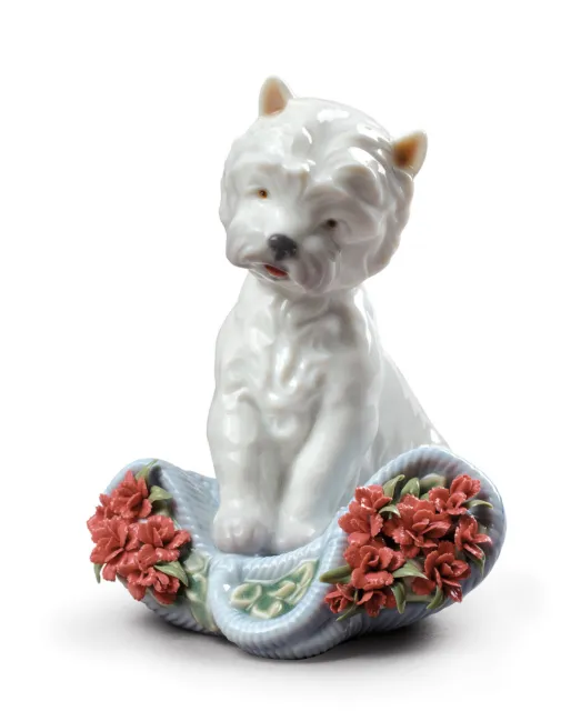 Lladro #8065 Playful Character Dog Figurine Brand Nib Carnations Cute Save$ F/Sh