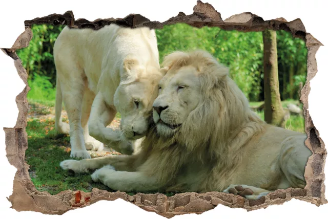 Meeresglitzer Couple de Lion - 3D-Look Percée Sticker Mural Autocollant-Sticker