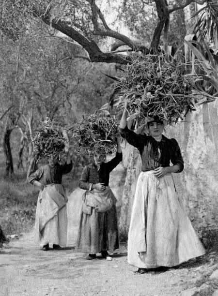 ITALY CALABRIA SILA Peasant Women 1910-20 OLD PHOTO $8.50 - PicClick AU