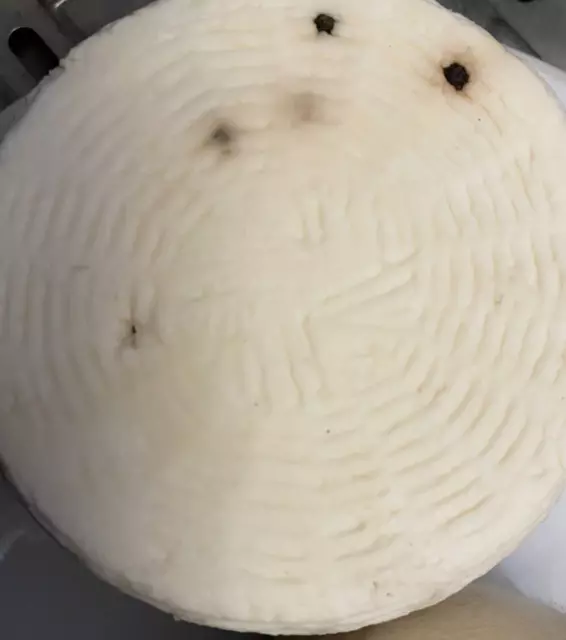 Pecorino Artigianale Formaggio Morbido Genuino Senza Conservanti Calabria Gratis