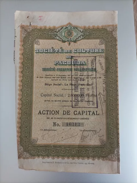 Ancien Titre, Action, Société De Culture De Pacouda, 1911