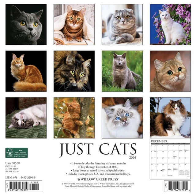 WILLOW CREEK PRESS, Just Cats 2024 Wall Calendar 19.64 PicClick