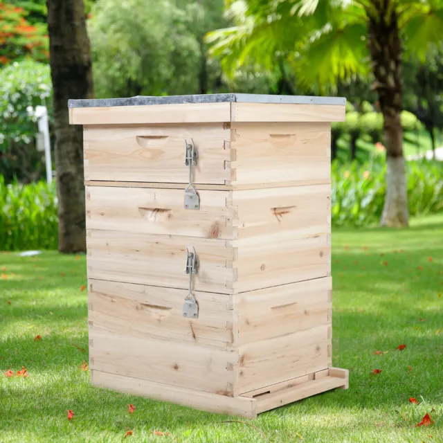 3 Tiers Langstroth Beehive Box Wooden Hive Frames Beekeeping Honey Brood Box