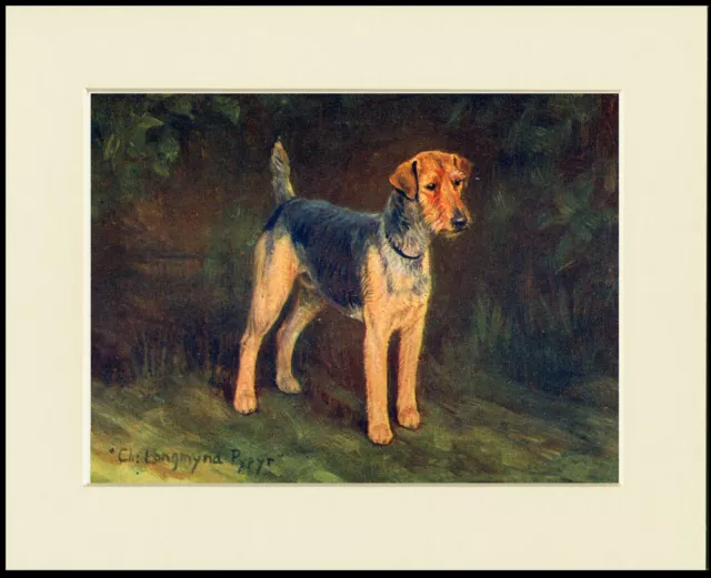 Welsh Terrier Named Champion Dog Lovely Print Mounted Ready To Frame