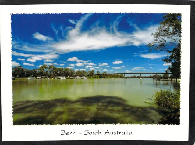 B7950 Australia SA Berri Murray River Bridge postcard