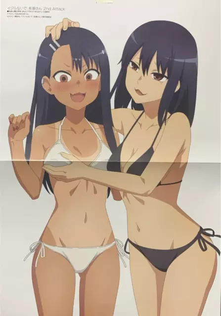  Don't Toy with Me, Miss Nagatoro (Ijiranaide Nagatoro-san) Anime  Fabric Wall Scroll Poster (16 x 26) Inches [A] Don't Toy with Me- 12:  Posters & Prints