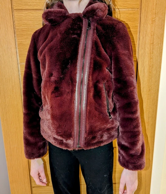 Maroon teddy online bear jacket