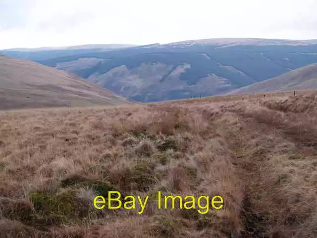 Photo 6x4 Towards the Ettrick Valley Looking down to the Ettrick Valley b c2006