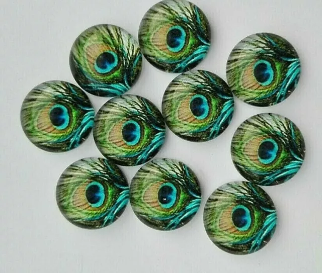 10 x 12 MM DURCHMESSER PFAUENFEDER MUSTER CABOCHONS - KUNST - HANDWERK - SCHMUCK