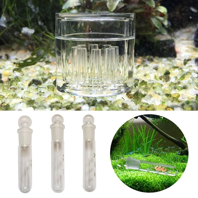 Flatworm Fish Tank Supplies Pest Catch Cleaner Tool Fish Tank Planaria Catcher