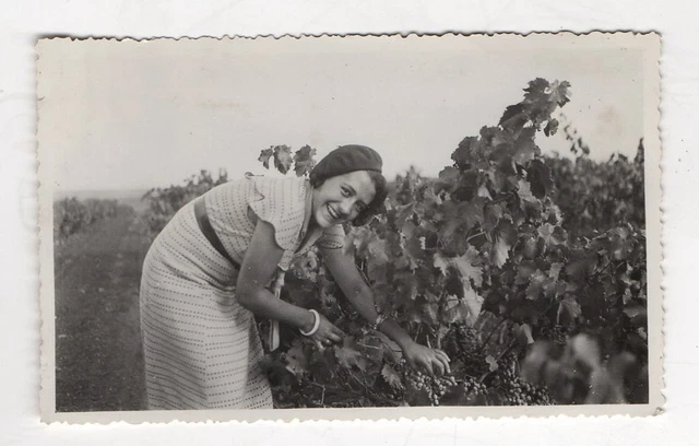 PHOTO - Snapshot Femme Vendange Vin Raisin Vigne Béret - Vers 1930