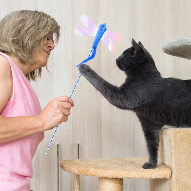 3pcs Funny Interactive Wand Cat Training Wand Pet Dragonfly Toy Cat Teaser