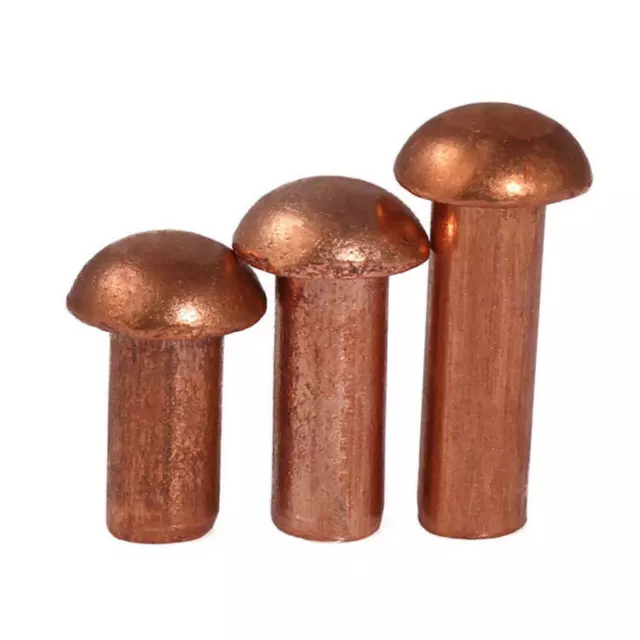 Fissaggi bordo testa bottone padella rivetti rame ottone massiccio M2 M3 M4 M5 M6 M8