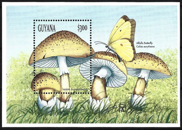 Guyana - mushrooms block 604 mint 1999 Mi. 6555