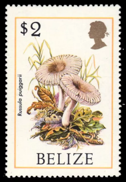 BELIZE 849 - Mushrooms of Belize "Russula puiggarii" (pb84595)