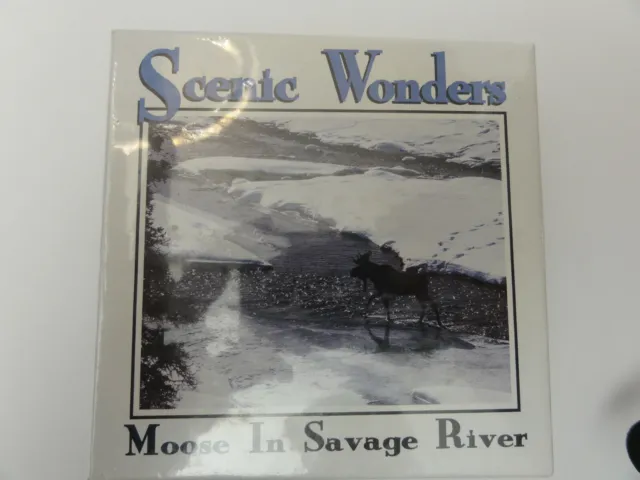 Moose in Savage River ; Denali Alaska;80 piece jig saw puzzle, 8"x10" size NIB u