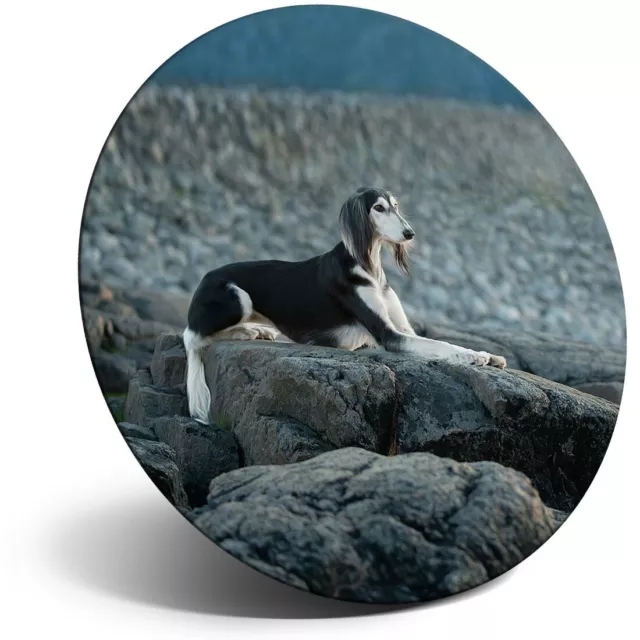 Awesome Fridge Magnet  - Beautiful Black Saluki Dog  #44246