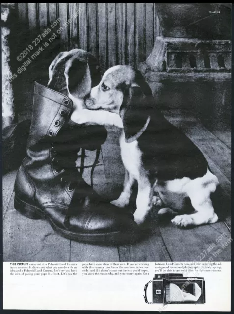 1962 beagle photo Polaroid instant camera vintage print ad