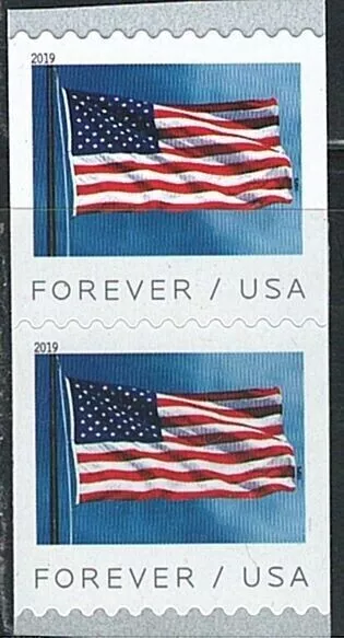 Mint US Pair of Flag Coil Stamp Scott# 5343 (MNH)