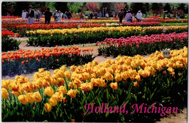 Holland Michigan Tulip Time Festival Colorful Flowers Dutch Tradition Postcard