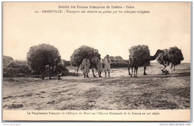 TUNISIE - HENRIVILLE - transport des cereales en gerbes