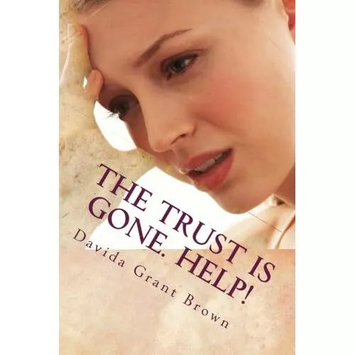 The Trust Is Gone. Help!: The Marriage Rocks Self-Help  - Paperback NEW Brown, D