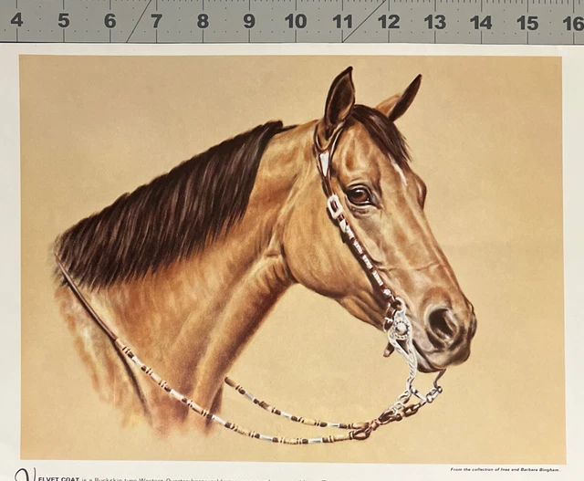 Buckskin Quarter Horse Western Vintage Print Of Painting Poster Art See Photos