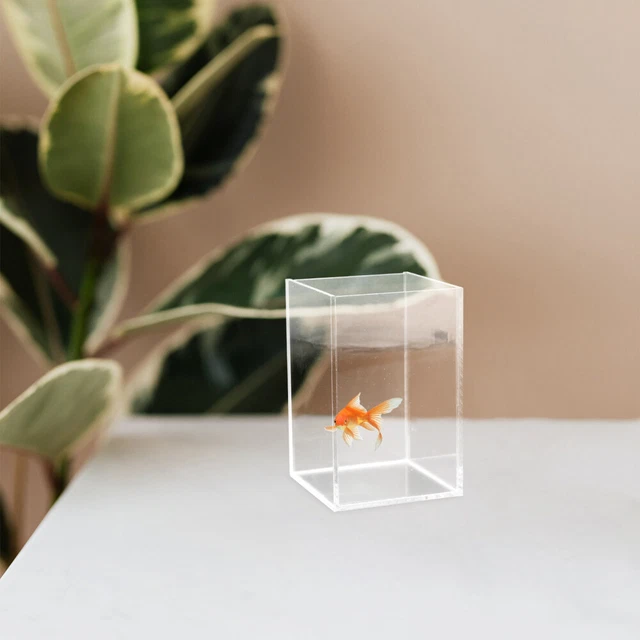 2x Betta Tank Betta Aquarium Desk Fish Tank for Office Desktop Study Room 2