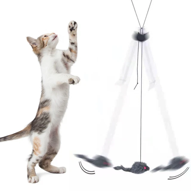 Jouets de Chat Télescopiques Jouet Porte Suspendue Souris Rebond élastique Corde
