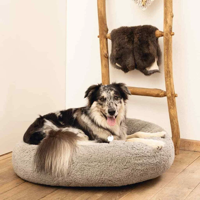 Lit pour Chien Mousse à Mémoire de Forme Canapé Salon Multi-modèle Beeztees
