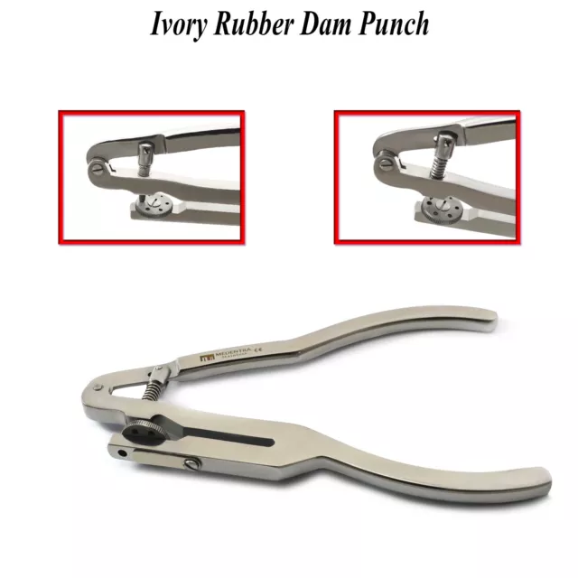 Endodontic Rubber Dam Basic Kit Ainsworth Punch Brewer Ivory Restorative Forceps 3