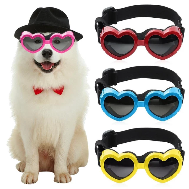 Gafas de sol de protección antiniebla para perros pequeños parabrisas a prueba de viento