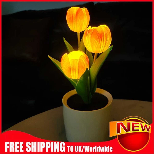 Lampada da tavolo lettura tulipani LED USB ricarica lampada da comodino per decorazione caffè