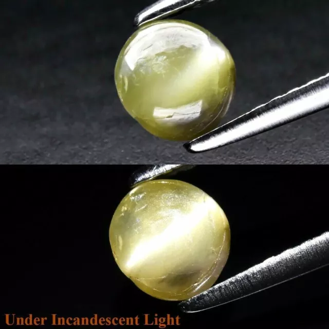 ★★   RARE !! CHRYSOBERYL OEIL DE CHAT DU SRI LANKA : 0,67 CARAT ★★ P242.135t