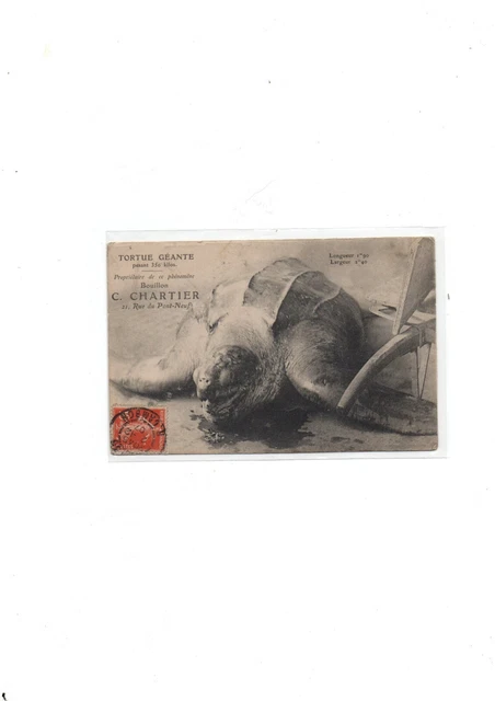Carte Postale Ancienne Kötzschenbroda 1920 – Lössnitzgrund – Timbre Et Tampon