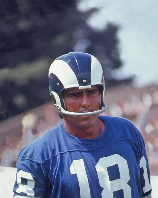Los Angeles Rams ROMAN GABRIEL Glossy 8x10 Photo NFL Football Print Poster